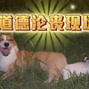是人性的扭曲，还是道德的沦丧