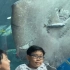 网友在水族馆拍照时，碰巧拍到了正在吃饭的鳐鱼