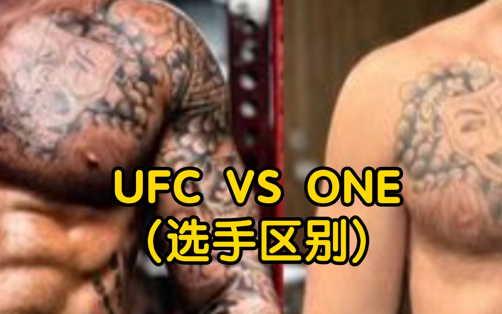 UFC VS ONE 两大赛事选手之间存在巨大差距！懂得都懂。