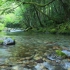 【自然之声】小溪水 疗愈 自然环境音 鸟鸣 5小时长 冥想 舒服 舒压 减压