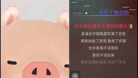 什么是生活什么是活着原唱 c29ac6c50cf21533d23e01449a76c651ecff50a2.jpg@280w_158h_1c_100q.jpg