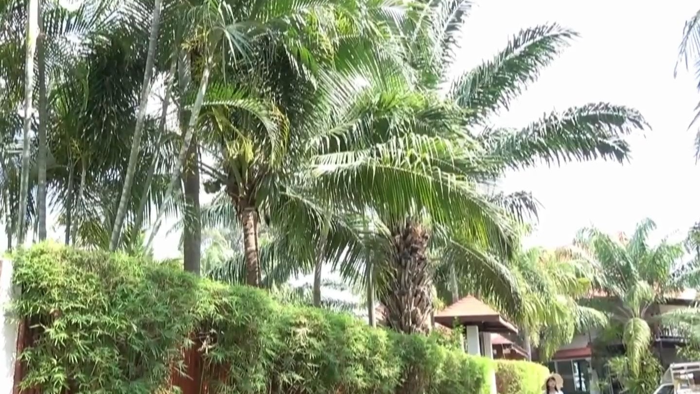 沢辺りおん ~ 梦的阶梯 ~