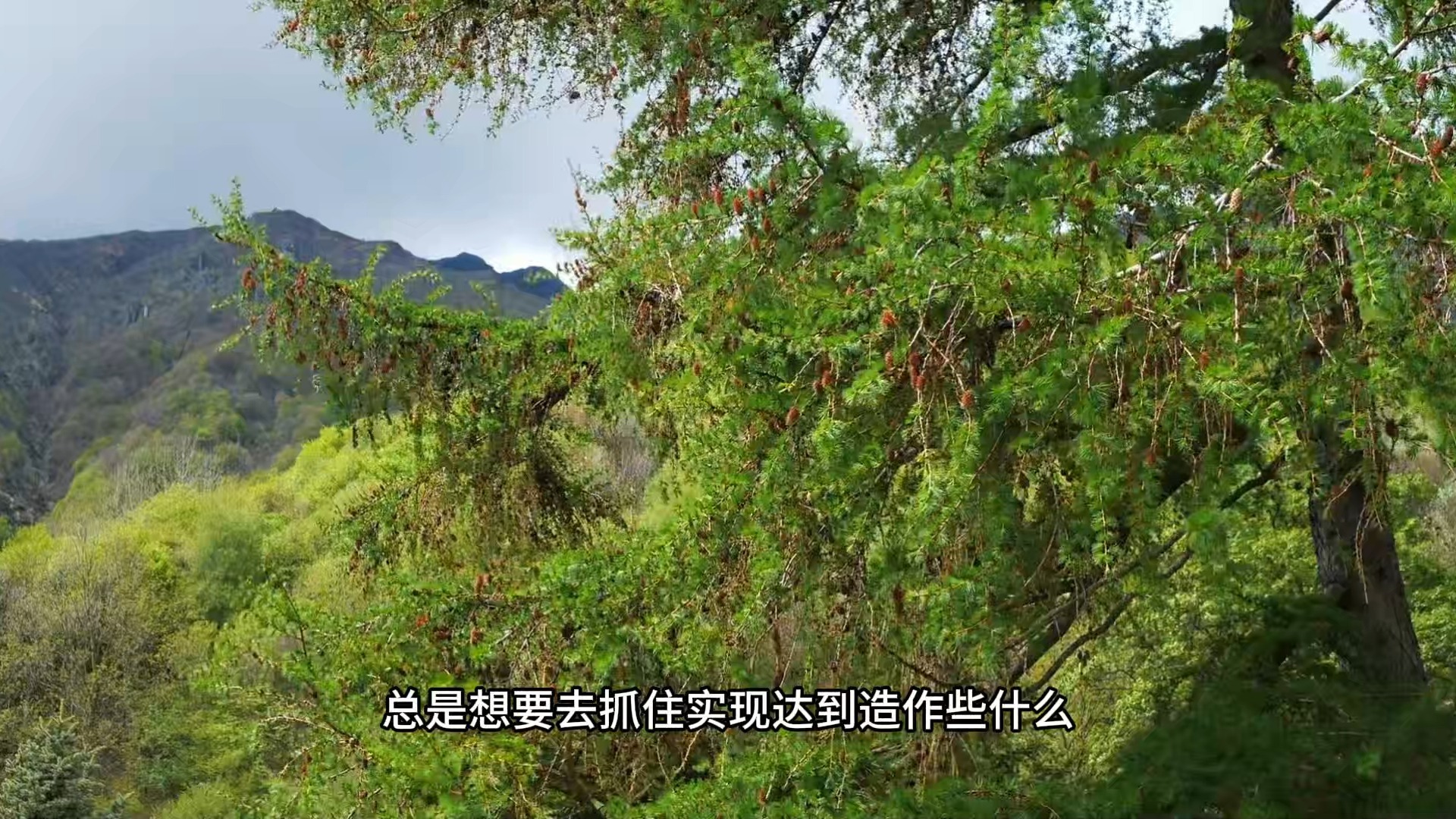 如何运用唯识学的智慧，揭开觉的终极奥秘？觉知的三个境界：意识觉知、无心灵知、大圆镜智！