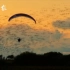 滑翔伞运动员与鸟群共舞