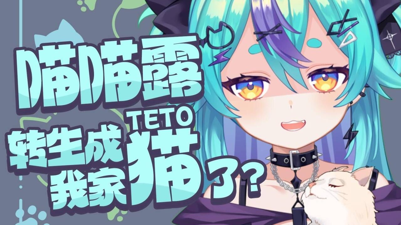 转生成猫的喵喵露们🐈️【猫雷Nyaru】