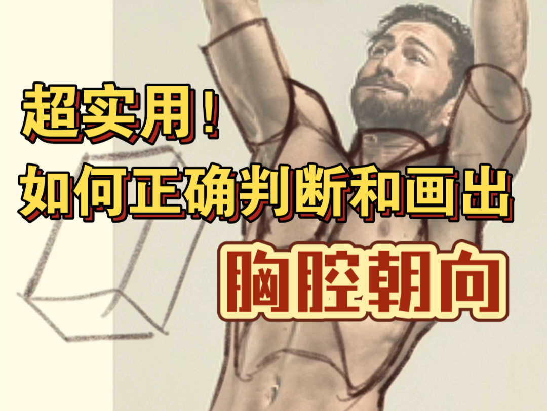 超实用！如何正确判断和画出胸腔朝向及看不见的锁骨和肩三角肌？