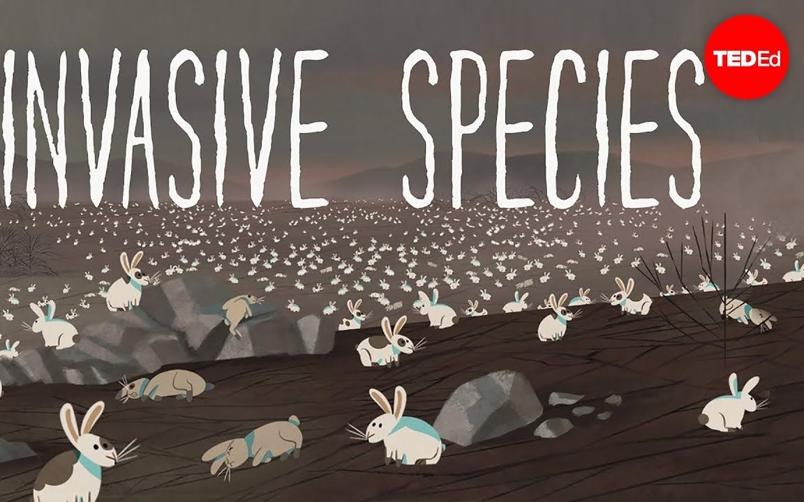 【TED科普】物种入侵的威胁（中英字幕）