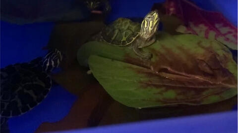 c2f57a3f7f957a7099d5c106b8106be15bb9576f.jpg@480w_270h_1c