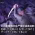 日本电视台NTV播出南京大屠杀纪录片