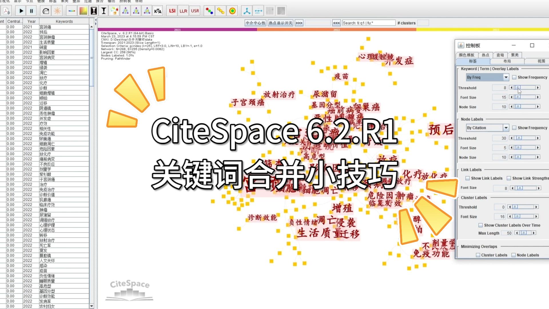 CiteSpace 6.2.R1基础版 关键词合并小技巧