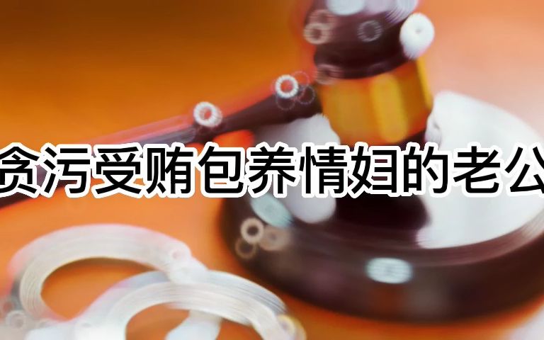 大案要案 贪污受贿包养情妇 饱受精神折磨的妻子最终举报了自己的局长老公哔哩哔哩bilibili