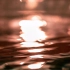 【空镜头】 阳光水面灯光 视频素材分享