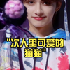 次人里可爱的猫猫