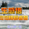 人生感悟经典句子，句句精辟睿智