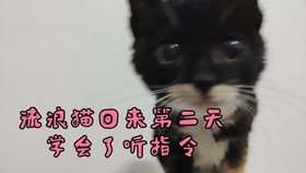 c385278ef96d3754f4cdfb802db7edfa44ab6f80.jpg@280w_158h_1c_100q.jpg
