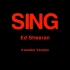 【Ed Sheeran】SING (Karaoke伴奏版)