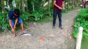 c3c9e4bbf3360262126f75ee4629731329e76b06.jpg@280w_158h_1c_100q.jpg