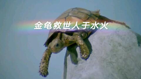 c3dd1a00a58050f10556628c3260d1e2fa383815.jpg@480w_270h_1c