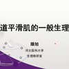 滕旭的医学生理课：生理学知识体系（2024）-消化道平滑肌一般生理特性