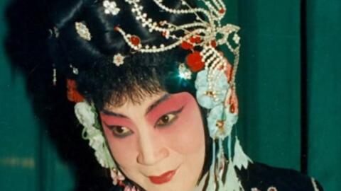 京剧红娘叫张生唱词,京剧红娘叫张生唱词念白