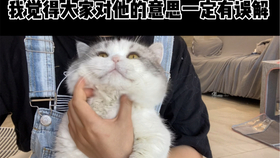 c3fd54656e5fc1aae88a5dadde6ca995ce9ea574.jpg@280w_158h_1c_100q.jpg