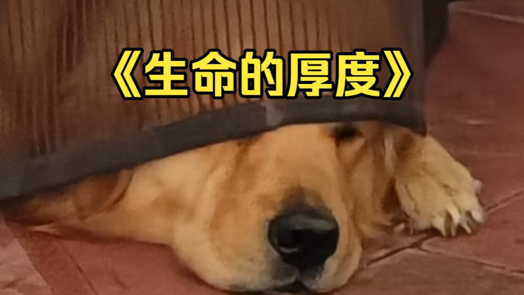 生命的厚度
