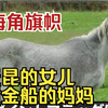 【中文字幕】海角旗帜 ·金船母亲的小故事〜 与须贝和巨匠妈妈东方艺术意外的联系