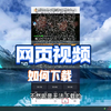 如何下载网页上的视频？这是最全的下载网页视频方法