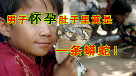 c41c088ab9849ecb9fd0eb572ddd9cb2d7817be5.png@280w_158h_1c_100q.jpg