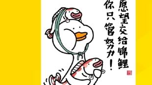 c43971b7481bc7c9638e46a3f21e088990f4fb9e.jpg@310w_174h_1c_100q.jpg