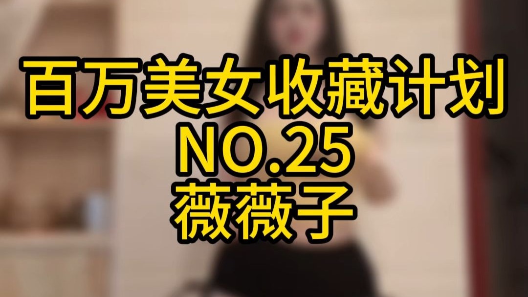 《百万美女收藏计划》NO.25 薇薇子