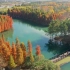 「秋 日 幻 境」常州新龙生态林水上森林航拍    御2哈苏版尚能饭否？