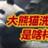 大熊猫：我除了会干饭还会洗碗呢！