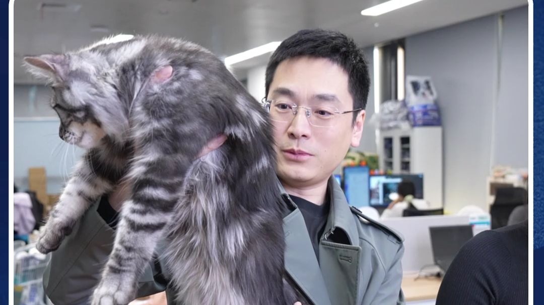 挑食猫 6 斤瘦成条？换这款冻干夹心粮，秒变干饭猫！