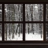 【窗景】林中小屋雪季×学习助眠白噪音 | 氛围营造 | 投影适用