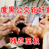 沉郁奇案，印度黑公交轮奸案 ,23岁女孩遭六人暴力轮奸致死