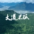 《走出茶马古道》第三集《大道不孤》：在西藏的密林间，共同守望“林下经济”的硕果