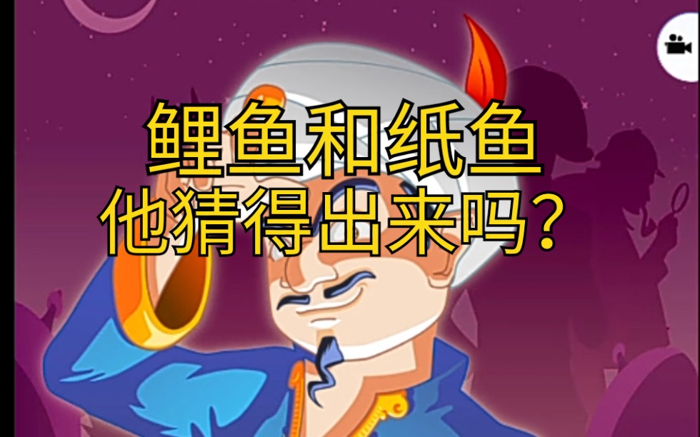 网络天才能猜到鲤鱼ace和薄海纸鱼吗_哔哩哔哩_bilibili