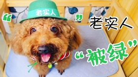 c4b1c6eb99c0d82b4f0931e9d9730c68eb43b0cf.jpg@280w_158h_1c_100q.jpg
