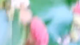 c4c5a69f0d4e4a1bbc62acc8ef58ee1a06f34029.jpg@280w_158h_1c_100q.jpg