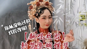 新鸳鸯蝴蝶梦纯音乐曲谱_新鸳鸯蝴蝶梦曲谱(5)