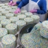 蛋糕制作也有流水线？实拍韩国食品加工厂大批量生产糖果奶油蛋糕！