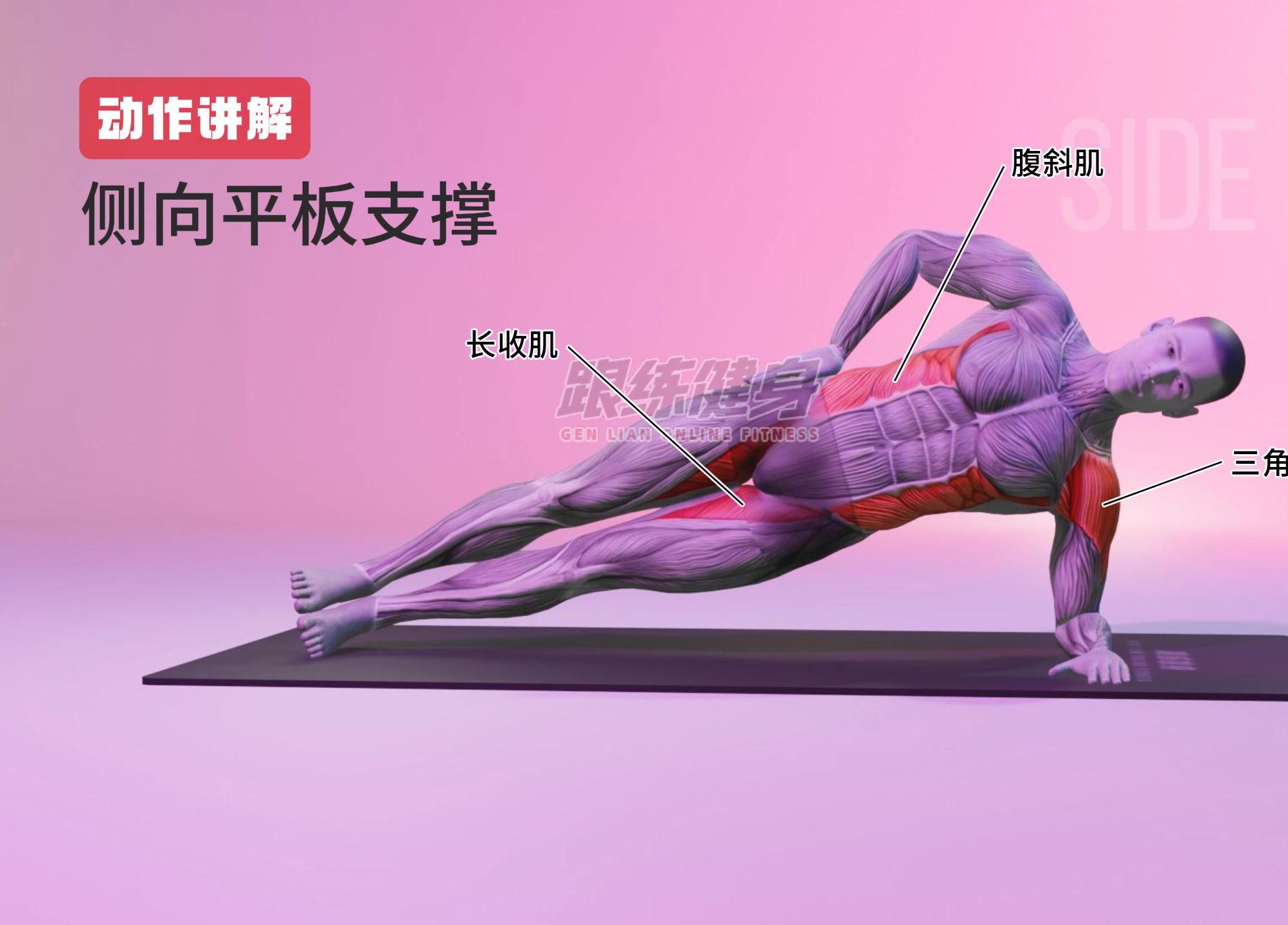 侧向平板支撑Side Plank：徒手健身动作介绍