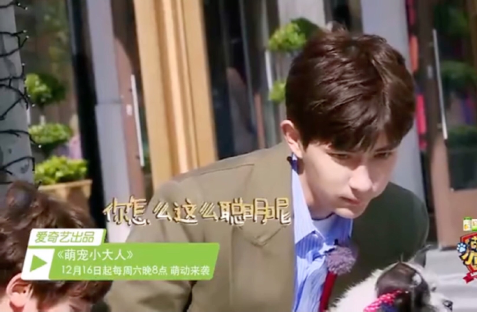 [萌宠小大人]超可爱