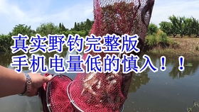 c50978ea88d50f711a37bca3773b639cccf2773f.jpg@280w_158h_1c_100q.jpg