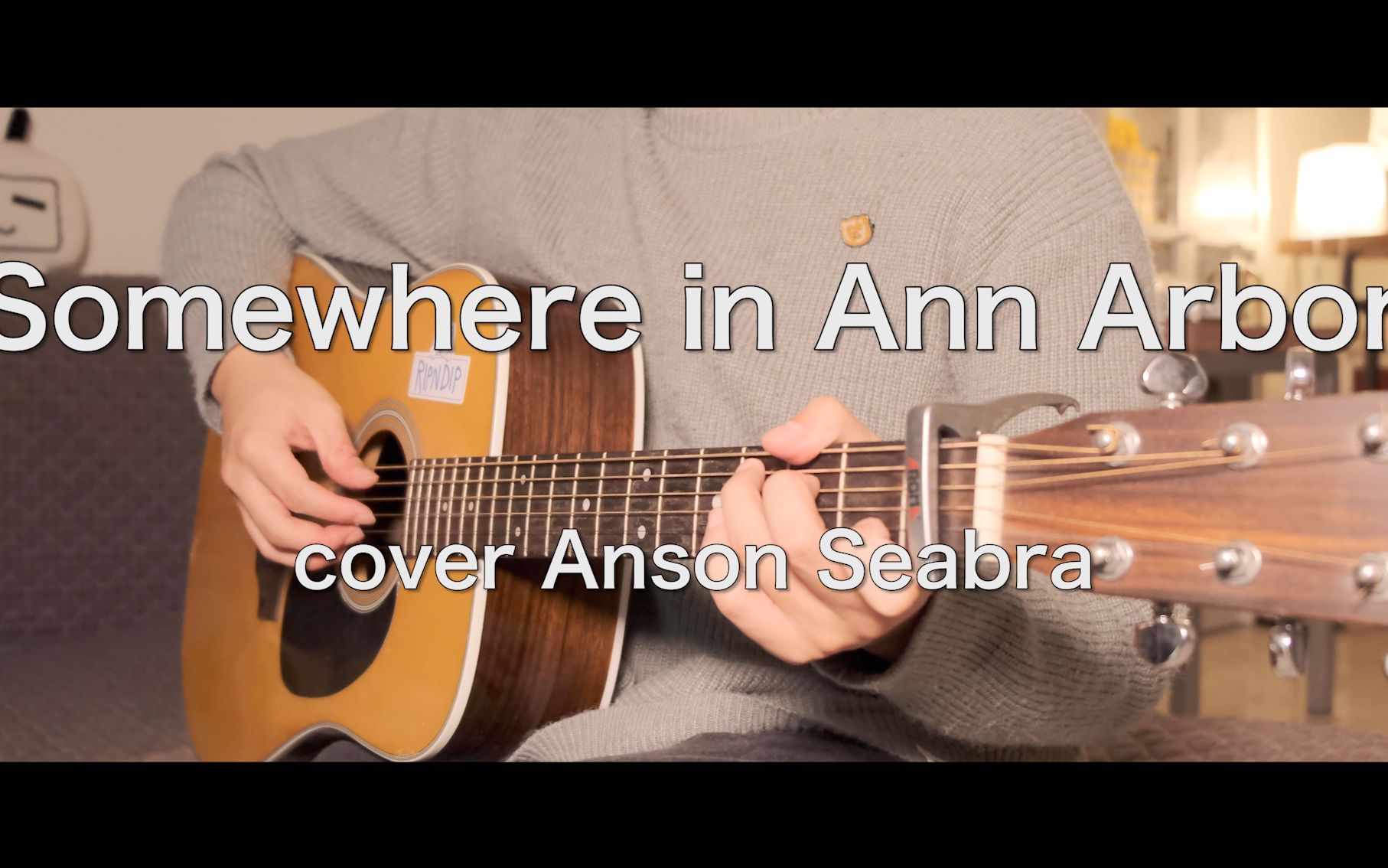 活动作品somewhereinannarborcoveransonseabra