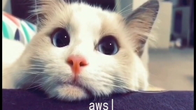 c52278569387ae4f1e781ab83d675223dbd308d1.jpg@280w_158h_1c_100q.jpg