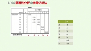 c53298ea87f1d254735133776febce12355e6b83.jpg@310w_174h_1c_100q.jpg
