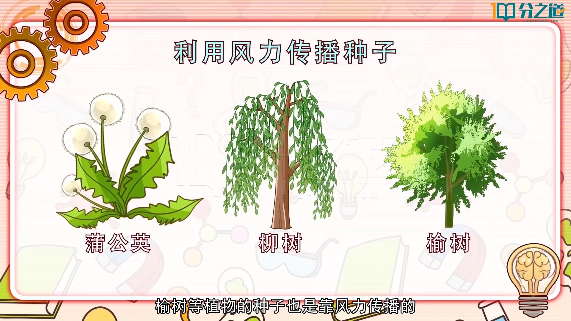 四下科学 1.7 种子的传播