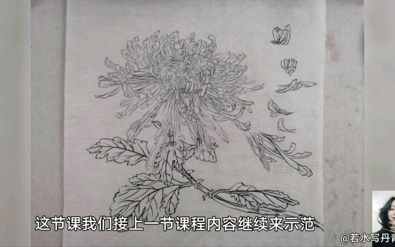国画技法·菊花的画法（附视频） | 自由微信 | FreeWeChat